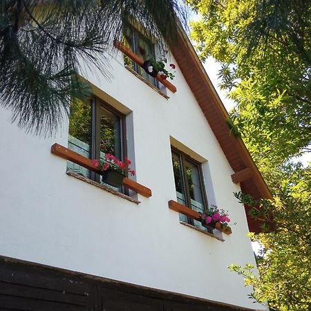 Villa Pele Vendeghaz Velem Exterior foto