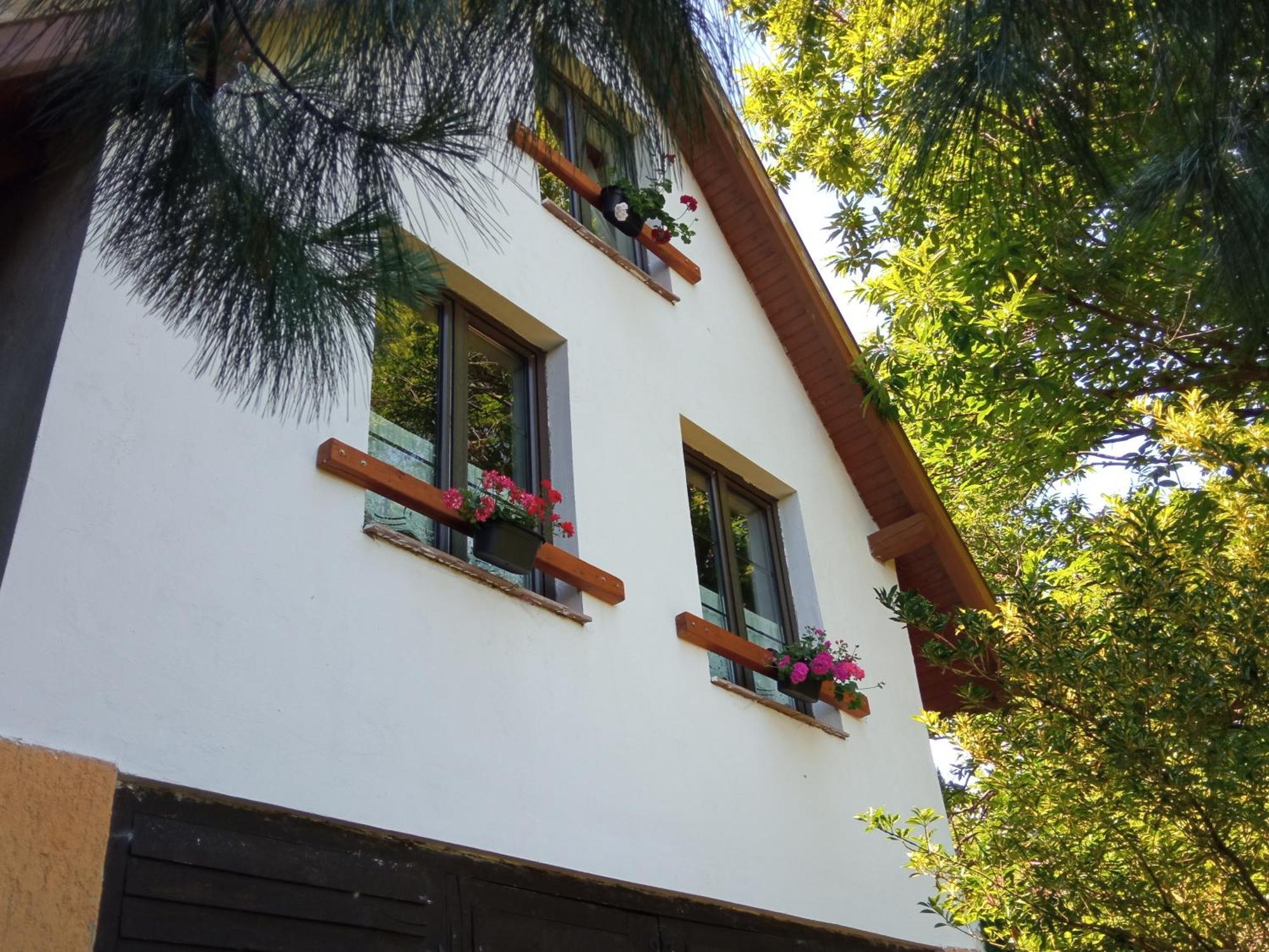 Villa Pele Vendeghaz Velem Exterior foto