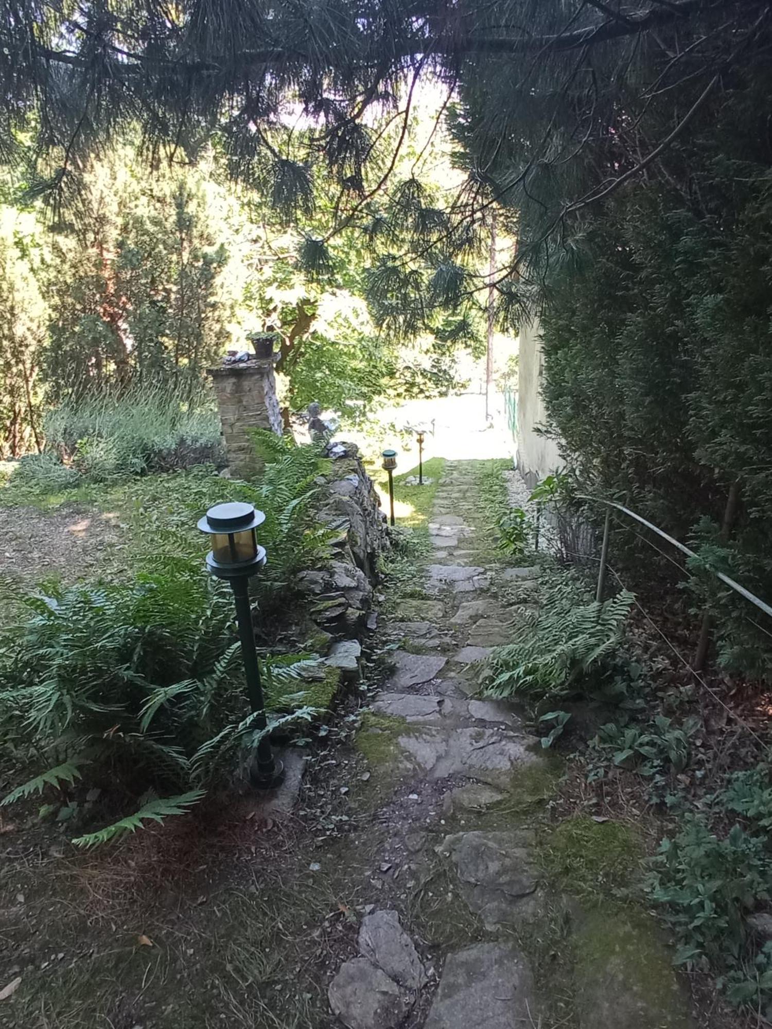 Villa Pele Vendeghaz Velem Exterior foto